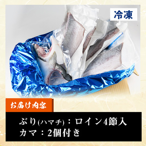 脂ののった鹿児島県産養殖ぶり（ハマチ）の切り身！「ロイン4節・カマ2個付」合計約2kg！養殖ぶり生産日本一の鹿児島県産ぶり ブリ 鰤 刺身 ぶりしゃぶ 【B-328H】