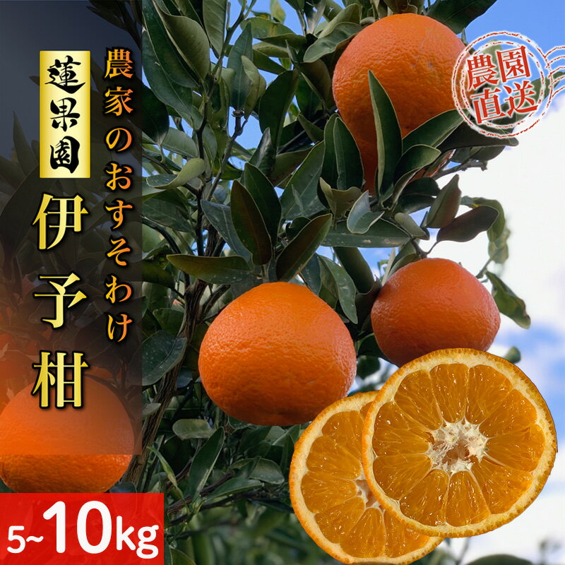【ふるさと納税】 【先行予約】 【2026年1月から発送予定】 家庭用 宮内伊予柑 5kg または 10kg サイズ混合 | 訳あり 柑橘 みかん 果物 くだもの フルーツ おすすめ 人気 お取り寄せ グルメ ギフト 期間限定 数量限定 ご当地 愛媛県 松山市