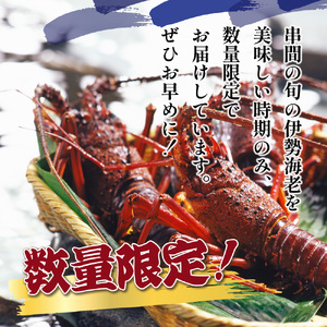 L-E1 ＜先行予約・期間限定＞串間市産！天然イセエビ（3.0kg〜3.5kg）鮮度抜群の伊勢海老を食卓へお届け【串間市漁業協同組合】【L-E1】