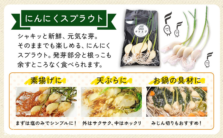 にんにく 3種 セット計9袋 各3袋 にんにくスプラウト むきにんにく 切干にんにく 株式会社ANELA GROW 《30日以内に出荷予定(土日祝除く)》千葉県 我孫子市 にんにく 水耕栽培 ギフト 