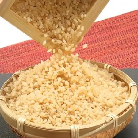 【毎月定期便】あきたこまち特別栽培玄米5kg全6回【配送不可地域：離島・沖縄県】【4094264】