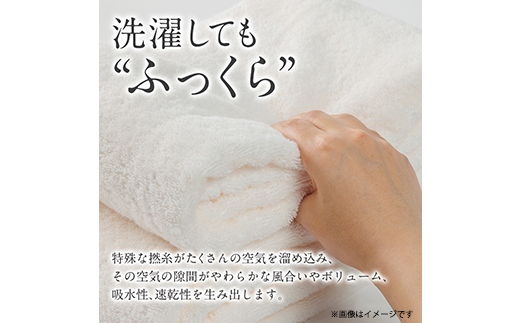 泉州タオル【日本製】「泉州美人」フェイスタオル　柳 4枚セット【1725033】