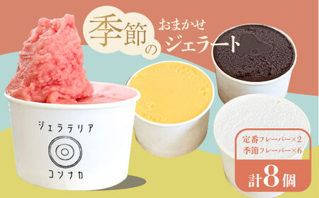 季節のジェラートおまかせ8点セット【ジェラテリア コンナカ】[AKHT003]