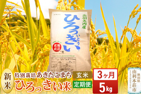 《定期便3ヶ月》【玄米】 秋田県産 あきたこまち 5kg 令和7年産 特別栽培米 ひろっきい米