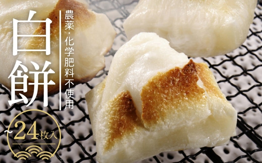 
            ＼先行予約／  内容量選べる 白餅 8枚(4枚×2袋)or24枚(4枚×6袋) 餅 モチ もち 米  切り餅 期間限定 お正月 年末年始 飛騨市  [Q926nx] 5000円 5千円 10000円 1万円 《hida0307》
          