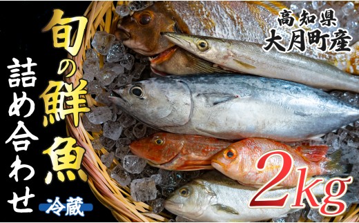 高知県産 鮮魚 詰め合わせ便 2kg 谷鮮魚食堂 内臓未処理 産地直送 生魚 海鮮 セット 刺身 刺し身 煮付け カツオのたたき 詰合せ 食べ比べ グルメ 魚 お取り寄せ ギフト 贈答用 鮮魚セット 高知県 海鮮セット 大月町