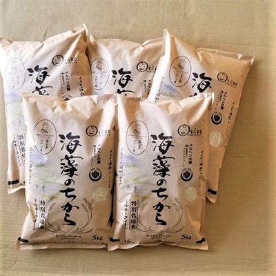 2024年2月発送開始『定期便』ミルキークイーン(海藻のちから)5kg×5ヶ月連続　全5回