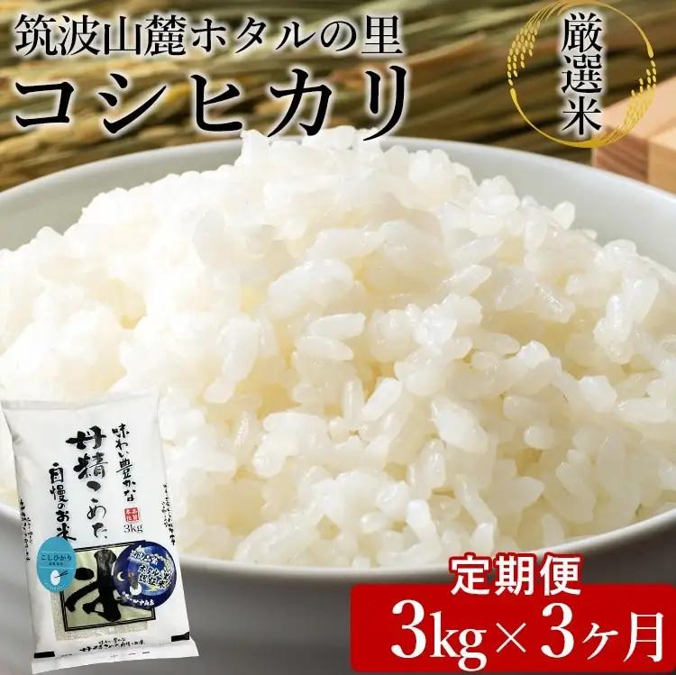 【先行予約】【定期便 3ヶ月】令和8年産 筑波山麓ホタルの里厳選米コシヒカリ3kg 透き通った大粒米 ※2026年11月～発送