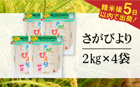 【時間が経っても美味しい】令和5年産 さがびより 白米 計8kg（2kg×4袋） 佐賀県/株式会社森光商店[41ACBW013]