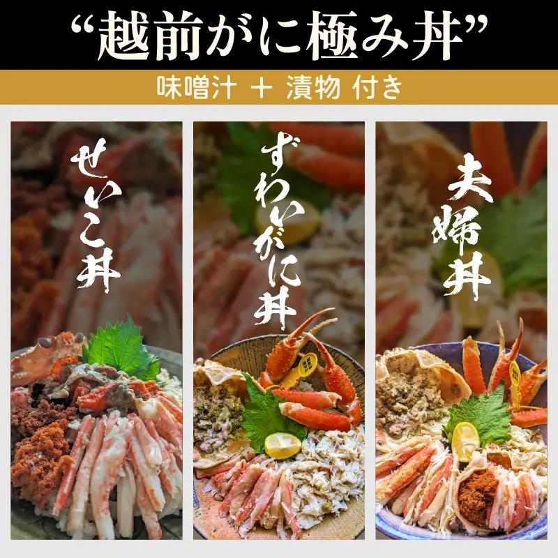 利用券 昼食事券 60,000円分 「日本海が目の前！絶景！お店で食べる 贅沢かに料理 福井県 越前町」【 2年間有効期限 越前かに 食事券 食事 チケット 券 海の幸 カニ料理 蟹 魚介 かに 蟹 