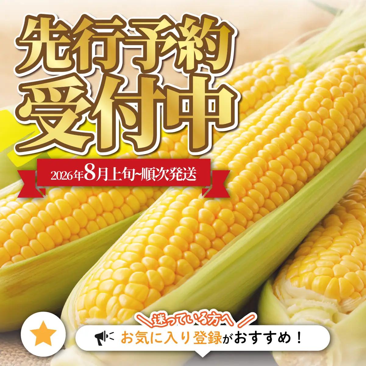 【先行予約】北海道七飯町産とうもろこし 「ゴールドラッシュ」8本セット(令和8年8月上旬頃より順次発送) NABU005