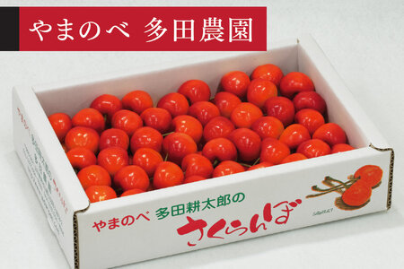 《先行予約》2026年 山形県産 紅秀峰 バラ詰め 約700g L~2Lサイズ以上 やまのべ多田耕太郎のさくらんぼ サクランボ tn-bsxlb700