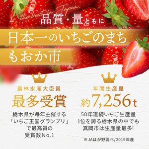 真岡市産 赤い宝石「とちあいか」・白い奇跡「ミルキーベリー」セット 600g | 紅白 赤 白 苺 strawberry ストロベリー おいしい 甘い ジューシー 贈答用 プレゼント ご褒美 スイーツ