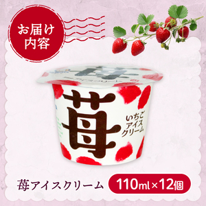 苺アイスクリーム110ml✕12個 | アイス 久保田アイス 人気アイス 厳選アイス アイスセット