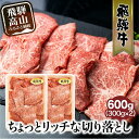 飛騨牛 切り落とし 300g×2パックセット みすじ ウデ すき焼き しゃぶしゃぶ 希少部位 600g 和牛 国産牛 ブランド牛 冷凍 飛騨高山 飛騨牛のこもり