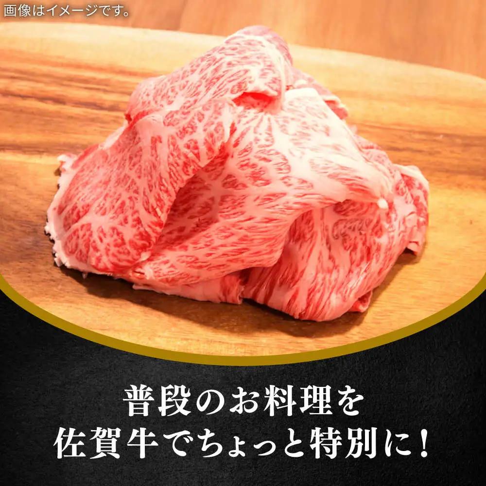 佐賀牛ロース切り落とし400g / 佐賀県 / 田中畜産牛肉店 [41ARAA007]