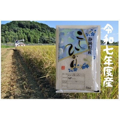 【毎月定期便】静岡こしひかり(精米)5kg×1袋全3回【4076144】