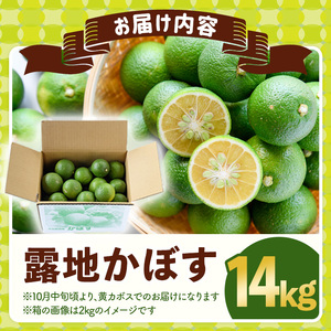 ＜先行予約受付中！2025年8月上旬～2026年2月下旬ごろ順次発送予定＞露地カボス(約14kg)かぼす カボス 柑橘 特産品 大分県産【107100901】【あいはな農園】