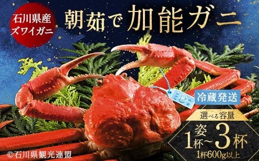 
                  【選べる容量】朝茹で加能ガニ 1杯600g以上 1杯・2杯・3杯 蟹 かに ズワイガニ グルメ 海産物 贈り物 加賀 F6P-3185var
                