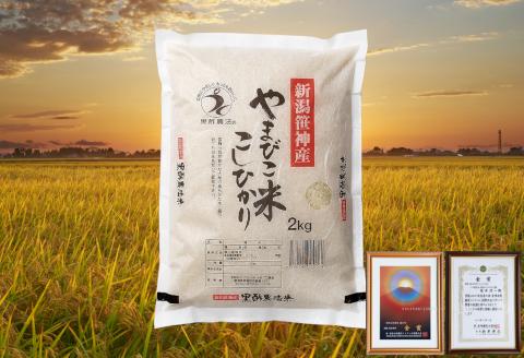 【令和6年産新米予約】【2か月定期便】コシヒカリ「やまびこ米」2kg×2回 玄米黒酢農法 金賞受賞 特別栽培米 白米 精米 農家直送 1P06010