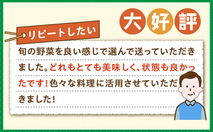 【全6回定期便】旬の野菜セット 10品 《壱岐市》【壱岐市農業協同組合】[JBO045] 野菜 ベジタブル 食材 詰め合わせ 産地直送 野菜セット グルメ 春 夏 秋 冬 旬 サラダ 冷蔵 夏野菜 ス