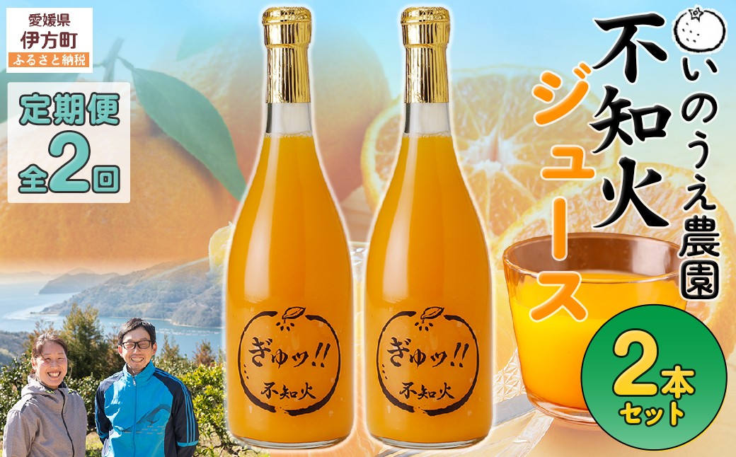 
                  【定期便】いのうえ農園 不知火ジュース2本セット 全2回※離島への配送不可  【ふるさと納税 人気 おすすめ ランキング 柑橘 みかん ミカン 蜜柑 ジュース ミカンジュース みかんジュース 不知火 不知火ジュース 定期便 フルーツ 果物 産地直送 いのうえ農園 愛媛県産 愛媛県 伊方町 送料無料】 IKTAI027 
                