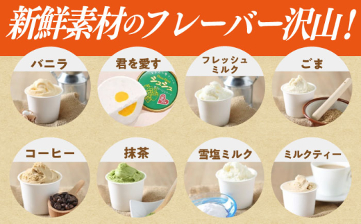 【12回定期便】シュシュのスペシャルジェラート12個セット（定番/季節限定/スペシャル2種） / アイス アイスクリーム ジェラート スイーツ /  大村市 / おおむら夢ファームシュシュ [ACAA