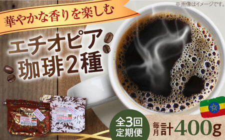 【全3回】エチオピアコーヒー2種 豆or粉 コーヒー[XBE054]