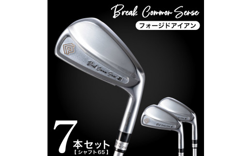 
1200BE01N.Fujimoto_BCS iron(7set) 65
