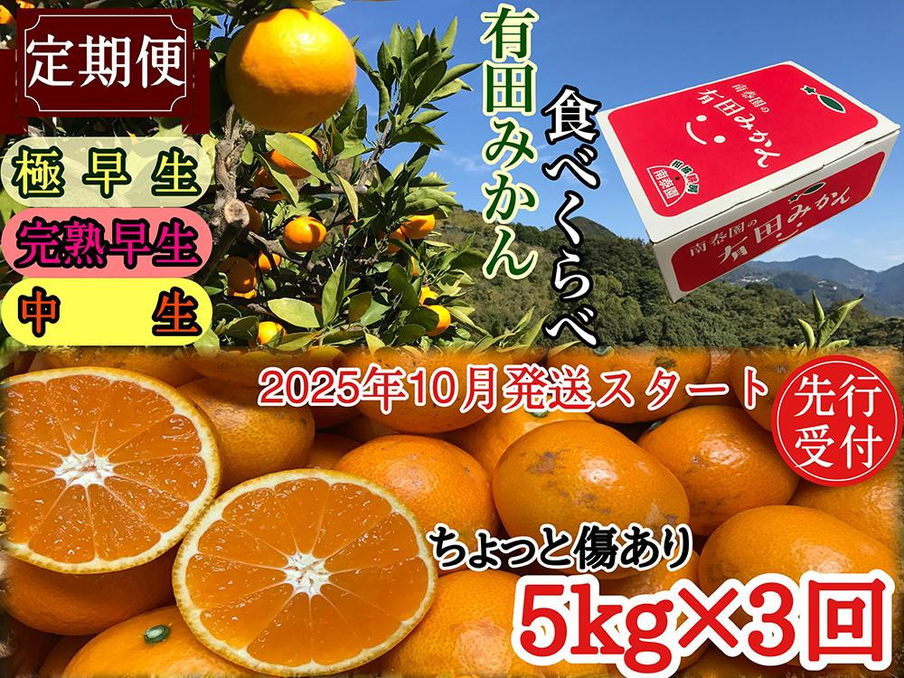 
            定期便 先行受付 2025年 10月発送スタート 有田みかん 食べくらべ 3種 ちょっと傷あり 5kg × 3回 コース 南泰園
          