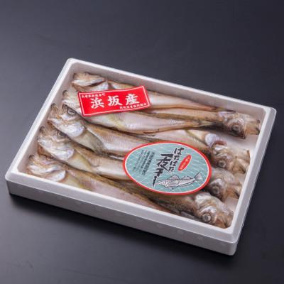 ふるさと納税 新温泉町 一夜干はたはた350g×2P |  | 01
