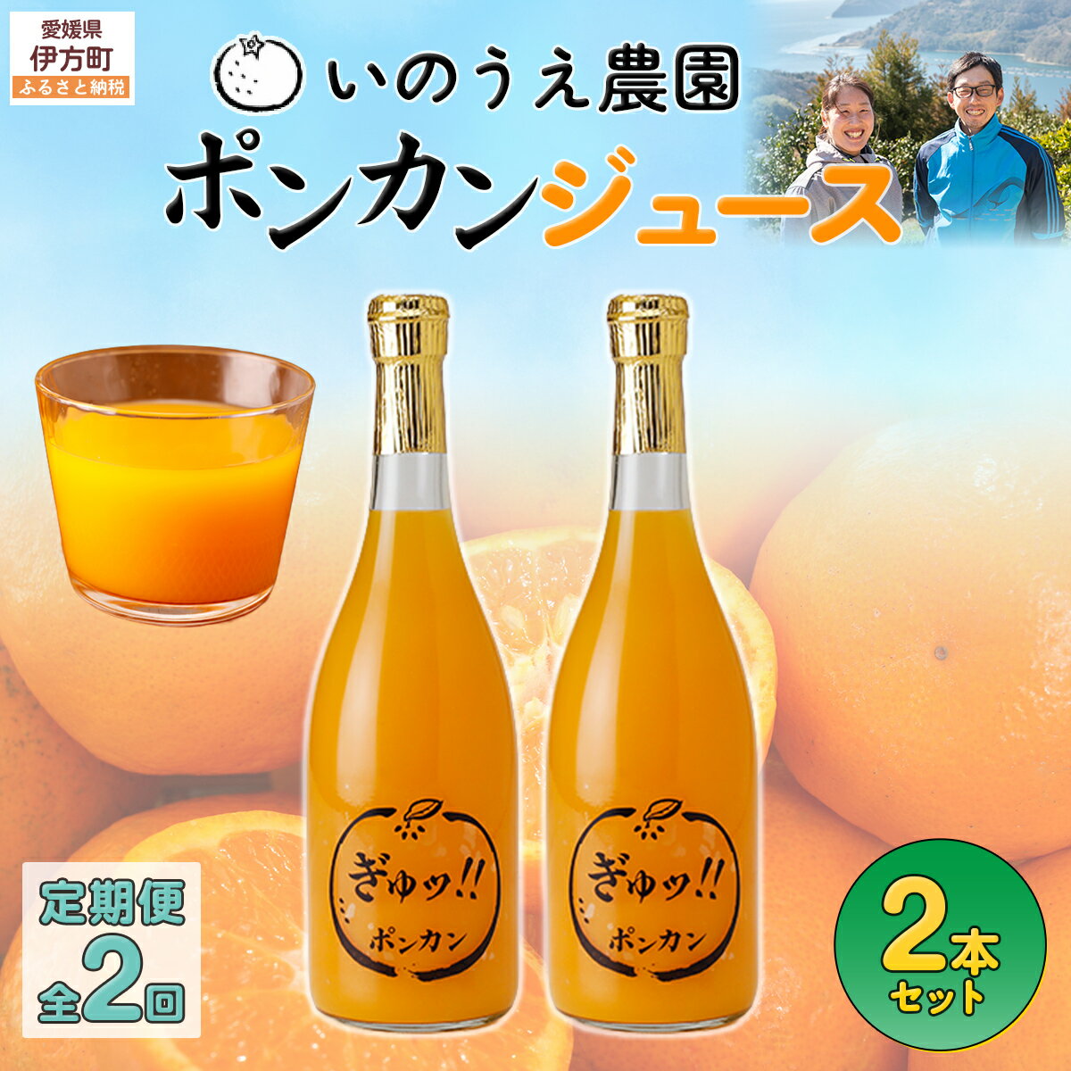 【ふるさと納税】【定期便】いのうえ農園 ポンカンジュース2本セット 全2回※離島への配送不可 【ふるさと納税 人気 おすすめ ランキング 柑橘 みかんジュース ポンカン ポンカンジュース 定期便 果物 産地直送 いのうえ農園 愛媛県産 愛媛県 伊方町 送料無料】 IKTAI023
