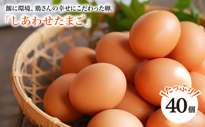 【ノンストレス卵】平飼い「しあわせたまご」40個＜松本養鶏場＞ [CCD021]
