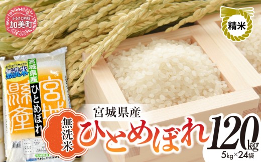 令和7年度産 無洗米 宮城 ひとめぼれ 120kg （ 5kg × 24袋 ） ｜ 菅原精米工業 宮城県 加美町 sw-hb120-mu-r7｜ ヒトメボレ 米 お米 コメ ごはん