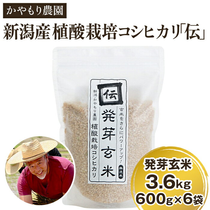 【ふるさと納税】令和6年産 [発芽玄米] 新潟産コシヒカリ「伝」発芽玄米3.6kg（600g×6個）かやもり農園