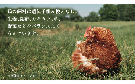 枝さんちのたまご 40個 (M～L40個) 産地直送 たまご 玉子 生卵 鶏卵 タマゴ 平飼い 桜川市産 茨城県産 卵 非遺伝子組換え [BT007sa]