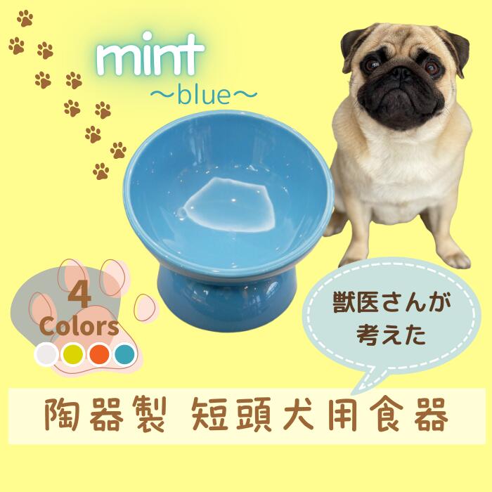 【ふるさと納税】 フードボウル ペット用食器 『 短頭犬用食器 ミント ブルー 』 (スケーター株式会社) 犬用食器 ペット用 犬 食器 餌 餌入れ えさ入れ ペットフード入れ 小型犬 マット付 536151 なら 奈良県 奈良市 10-094