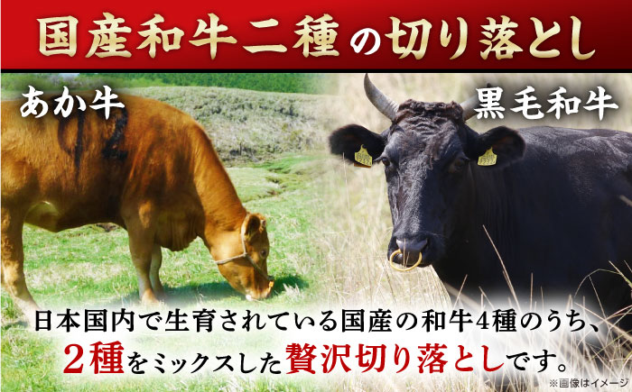 【全6回定期便】熊本県産 くまもと黒毛和牛 あか牛 ミックス 切り落とし 500g 牛肉【熊本県畜産農業協同組合】 [YAD017]