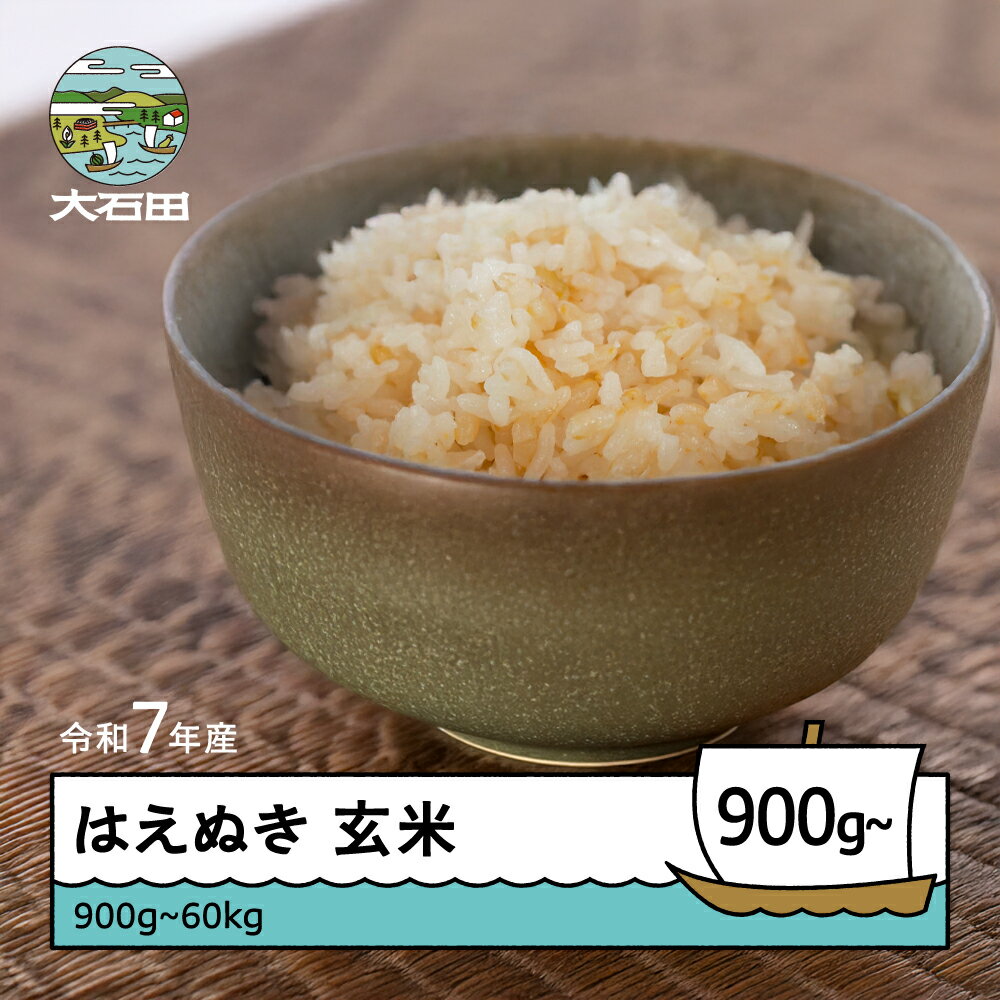 【ふるさと納税】 米 令和7年産 はえぬき 玄米 発送時期・数量が選べる 山形県産 ※沖縄・離島配送不可 ap-hagxa