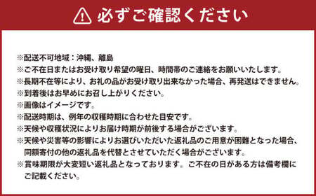【訳あり品】 りんご（サンふじ・〇秀） 約5kg 14玉～23玉   リンゴ 林檎 果物 【2025年11月下旬-12月上旬発送予定】