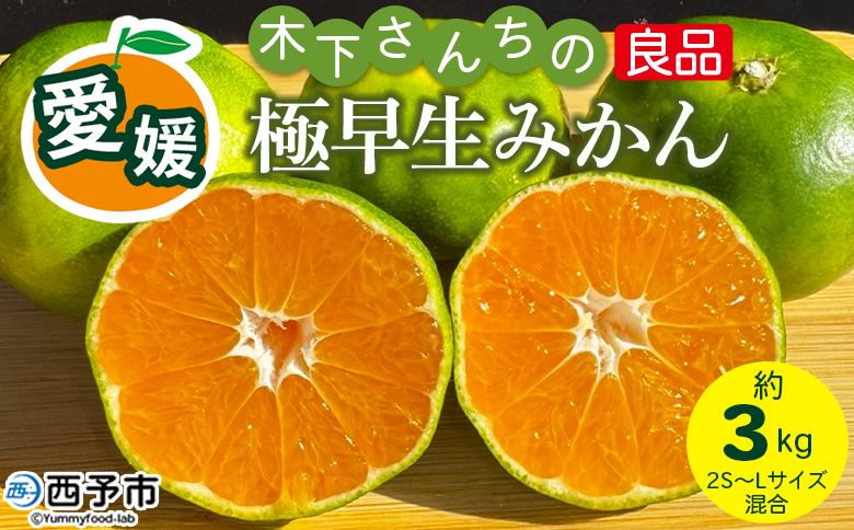 ＜木下さんちの不知火 家庭用 約4kg＞『2027年3月に順次出荷予定』柑橘 しらぬい でこぽん デコポン ご自宅 みかん ミカン 蜜柑 果物 くだもの フルーツ 果実 特産品 木下農園 西宇和 愛媛県 西予市【常温】