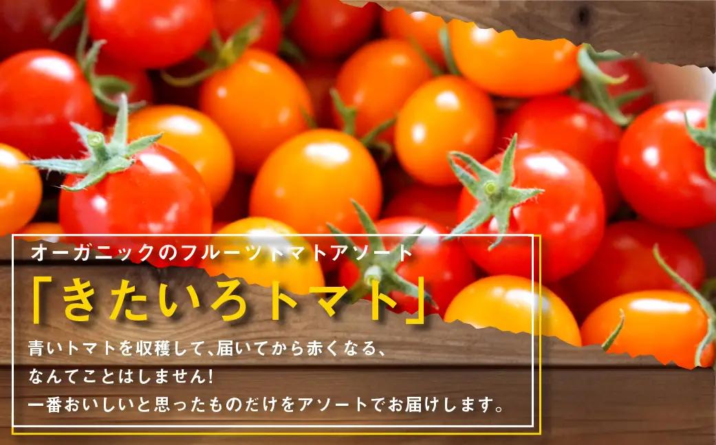 きたいろトマト 700g 朝もぎトウキビ 7本 セット 【2026年8月上旬～9月上旬迄発送予定】 トマト とうもろこし トウモロコシ 野菜 朝採れ オーガニック