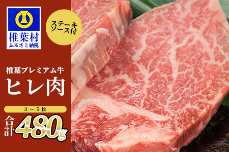 宮崎県産 椎葉プレミアム牛 ヒレ 480g お試しステーキソース付き 国産牛 黒毛和牛 和牛 牛肉 赤身 肉 ヒレ ステーキ 焼肉 バーベキュー TK-44