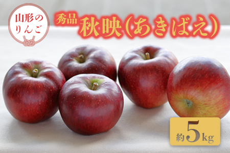 【2026年発送】「秀品」山形のりんご（秋映）約5kg_H162(R8)