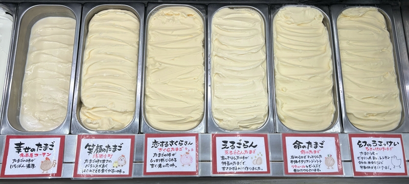 「ちゃたまや」のたまごジェラート 8種×各1個 セット（北海道・沖縄県・離島発送不可）【ジェラート食べ比べ セット デザート スイーツ アイスクリーム ミルク 詰め合わせ 人気 信州 長野県 佐久市 