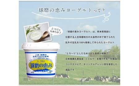 リキュール 特濃ヨーグルト とろ～り くまモンデザイン 箱付き 500ml 6本 お酒 洋酒 贈り物 本格米焼酎使用 爽やかな酸味 濃厚なコク 程よい甘み