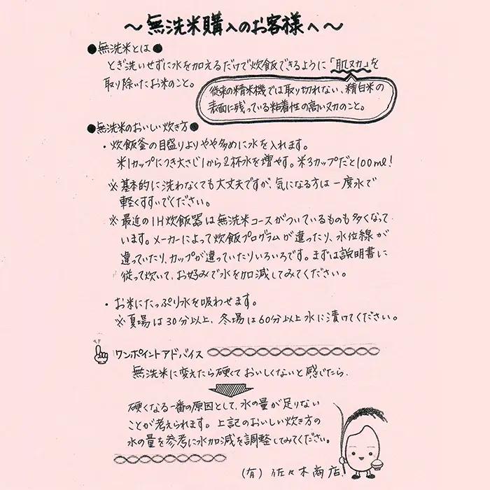 【定期便】【無洗米】 令和8年産予約 山形県産 雪若丸 5kg (5kg×1) 6回配送　【初回R9年1月発送】