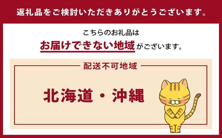 猫の爪とぎ　昭和テレビ（カラー：深緑）