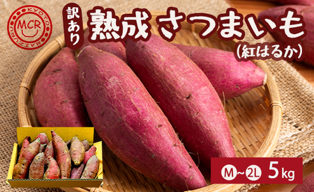 【2027年1月以降発送】 【訳あり】 舞鶴産 熟成さつまいも 5kg （紅はるか） 無選別 M～2L混合