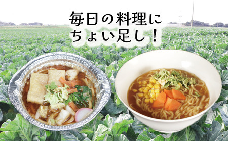 きゃべつ ドライキャベツ 16袋 先行予約